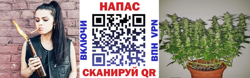 Каннабис тримм  omg tor  Сясьстрой 